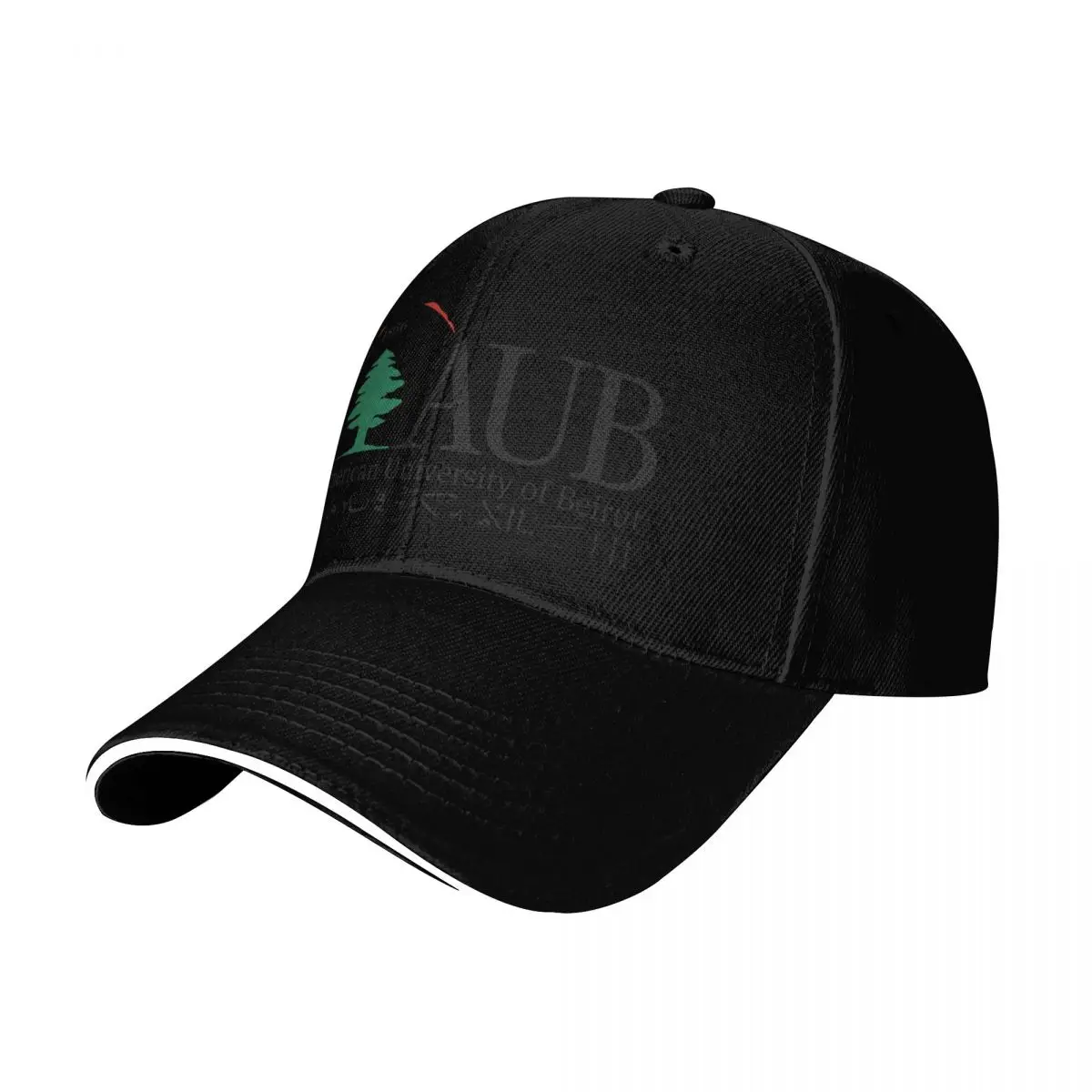 Berretto da baseball dell'Univ - Winter Sun Clothing recensione e prezzo